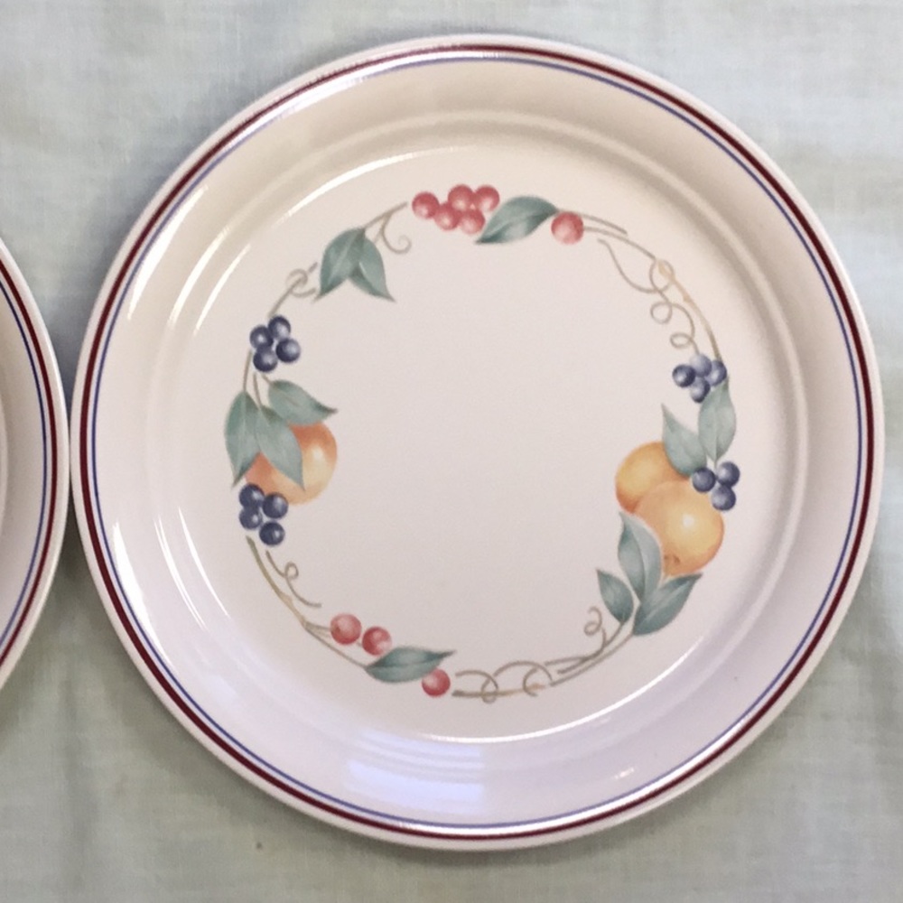 2 Corelle Abundance 10 1/4” Dinner Plates …